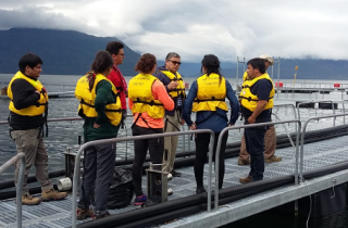 Profesionales del SEA y otras reparticiones publicas en terreno.