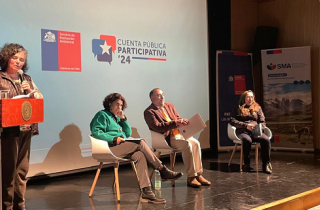 SEA Los Lagos realiza Cuenta Pública junto a instituciones ambientales regionales