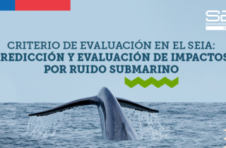 nota_web_ruido_submarino