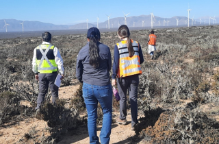 Visita técnica proyecto eólico Atacama