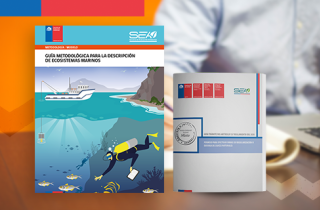 Servicio de Evaluación Ambiental actualiza guías metodológicas e implementa nuevas funcionalidades en la web 