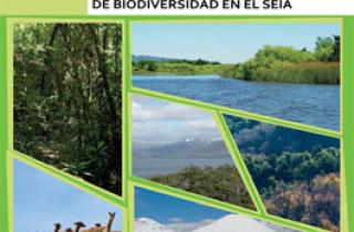  guia_compensacion_biodiversidad