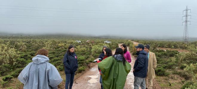 SEA Coquimbo realiza visita técnica sobre DIA para proyecto de modificación de parque híbrido en Ovalle