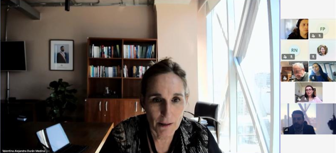 Directora ejecutiva entrega balance de gestión al COSOC