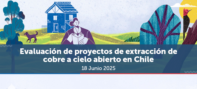 SEA expone en mesa técnica de REDLASEIA sobre evaluación de proyectos de minería de cobre a cielo abierto