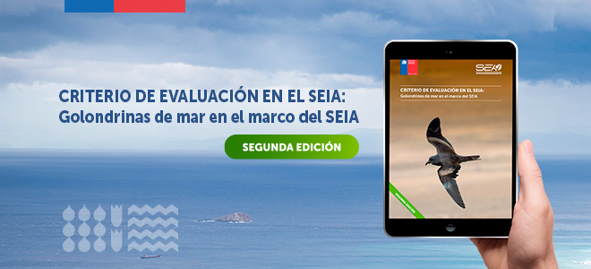 SEA publicó segunda edición del criterio de evaluación golondrinas de mar en el marco del SEIA