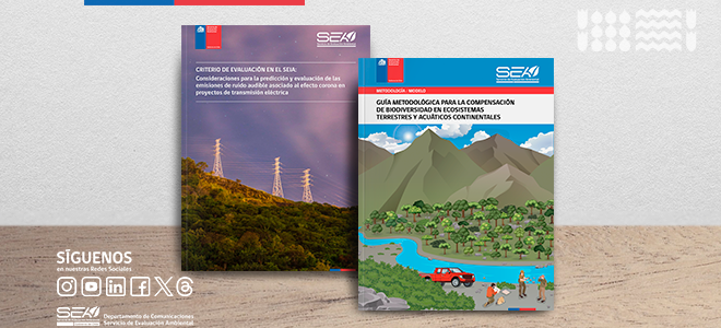 Actualización de Guía y Criterio del SEA