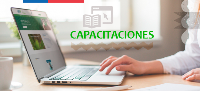 Plataforma SEA Capacita