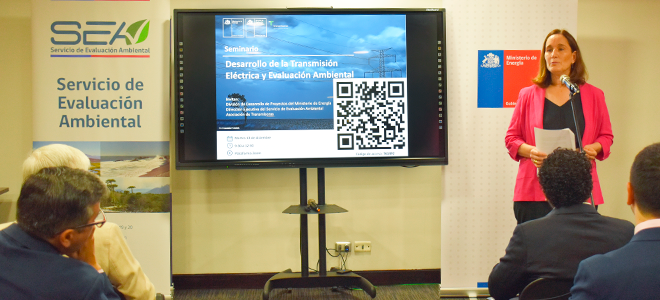 Directora Ejecutiva del SEA