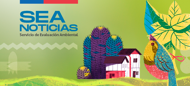 Cápsula diciembre 2022