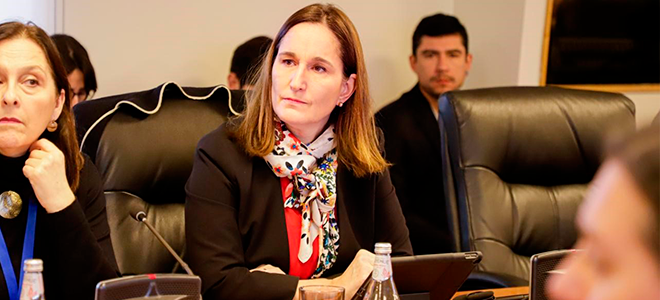 Directora Valentina Durán en la OCDE