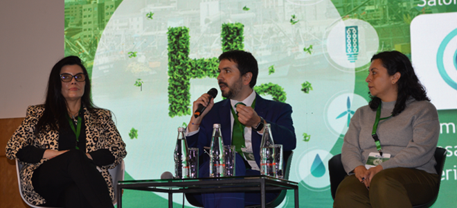 SEA participó en charla sobre dimensiones ambientales para el desarrollo de hidrógeno verde en el 6th Green Hydrogen Summit Chile-LAC