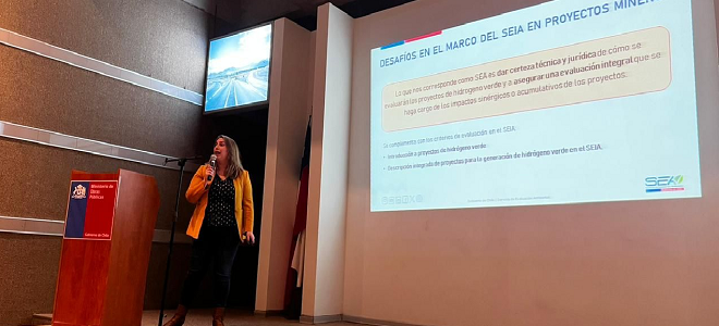  Macarena Gross, jefa del Departamento de Especialistas y Cambio Climático.