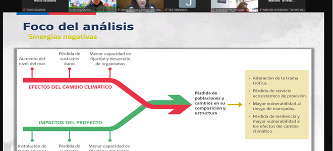 SEA Valparaíso desarrolló capacitaciones asociadas a ecosistemas marinos y cambio climático