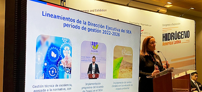 Directora en congreso de H2V