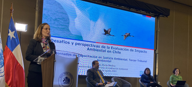 Directora Valentina Durán en encuentro del Tercer Tribunal Ambiental