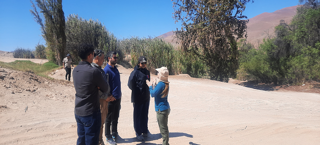 SEA Atacama organizó visita técnica al área de emplazamiento de proyecto de prospección minera 