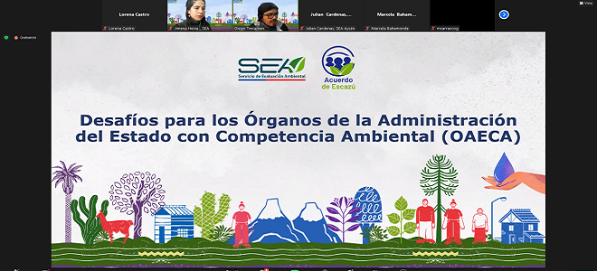 SEA Aysén capacitación al Comité Técnico