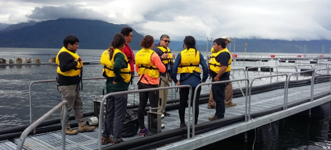 Profesionales del SEA y otras reparticiones publicas en terreno.