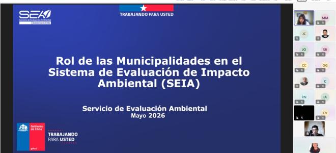 SEA Aysén capacita a municipios de la región 