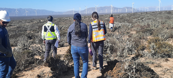 Visita técnica proyecto eólico Atacama