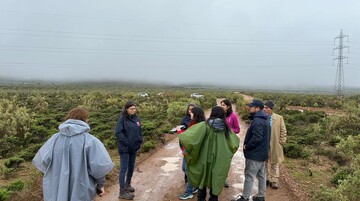 SEA Coquimbo realiza visita técnica sobre DIA para proyecto de modificación de parque híbrido en Ovalle