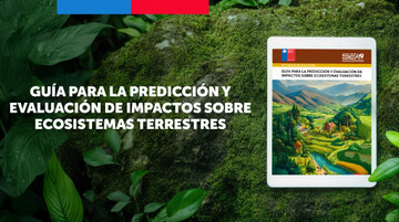 SEA publicó nuevo documento de evaluación ambiental sobre ecosistemas terrestres