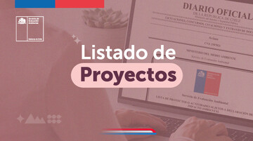 Listado de proyectos sujetos a Declaración de Impacto Ambiental presentados durante abril 2025