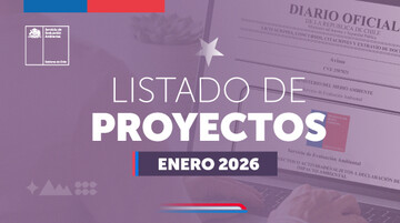 listado de Declaraciones de Impacto Ambiental presentadas en enero de 2026