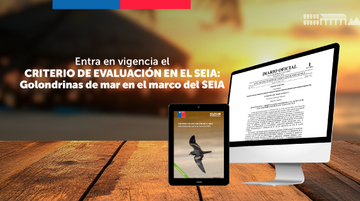 ¡Atención! Ya entró en vigencia la segunda edición del documento “Criterio de evaluación en el SEIA: golondrinas de mar en el marco del SEIA”