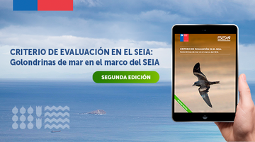 SEA publicó segunda edición del criterio de evaluación golondrinas de mar en el marco del SEIA