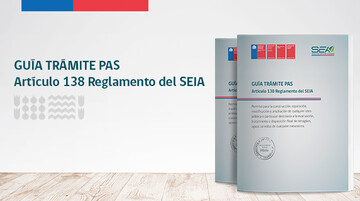 Guía Trámite PAS Artículo 138 Reglamento del SEIA