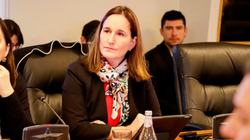 Directora Valentina Durán en la OCDE