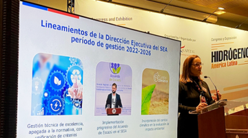 Directora en congreso de H2V