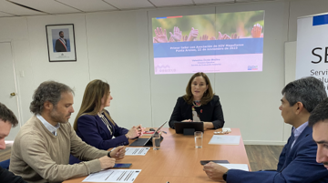 Directora Ejecutiva del SEA sostiene nutrida agenda de reuniones con énfasis en los proyectos de hidrógeno verde 