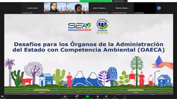 SEA Aysén capacitación al Comité Técnico