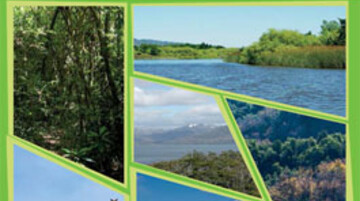  guia_compensacion_biodiversidad